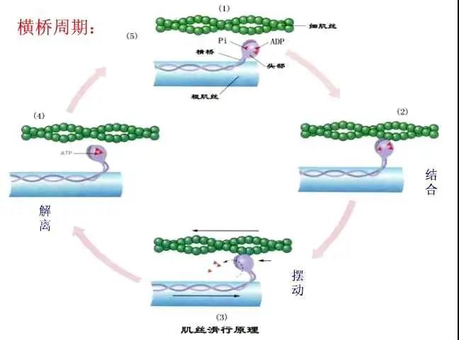 雨燕360体育APP下载