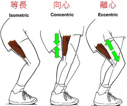 雨燕360体育客户端