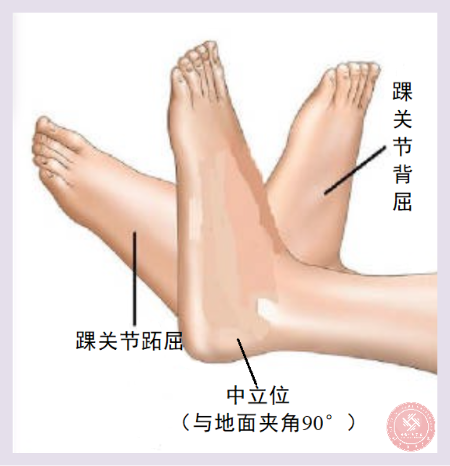 雨燕360体育备用网址