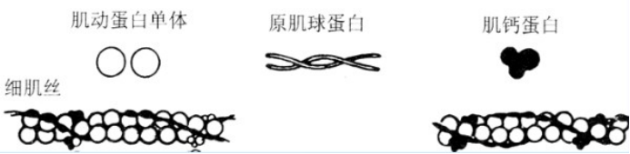 c4caf37a9a4d433486cd367b876482d0.png image.png