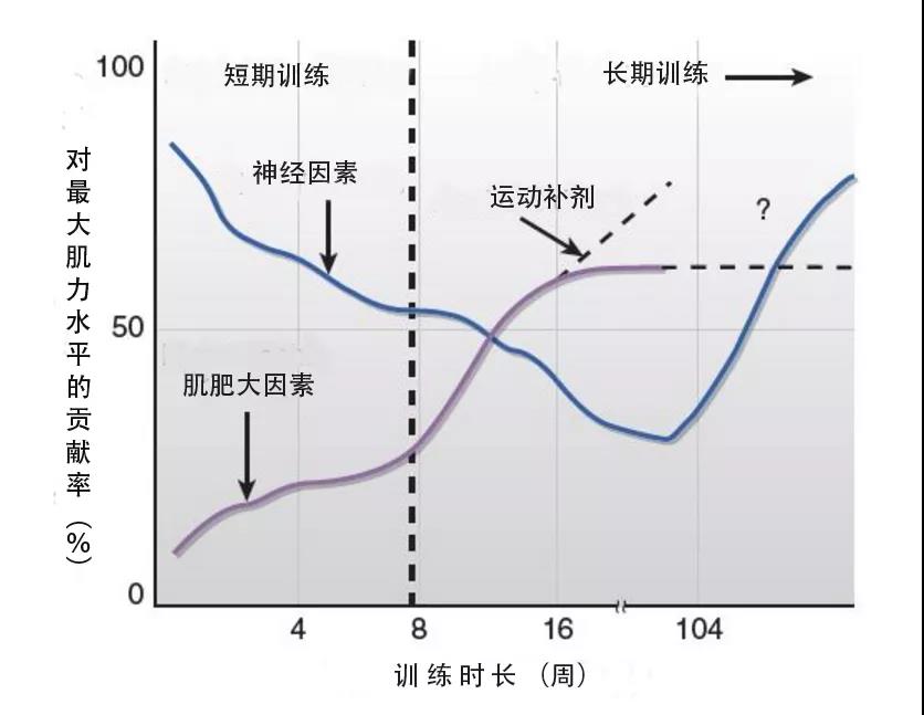 雨燕360体育安全通道