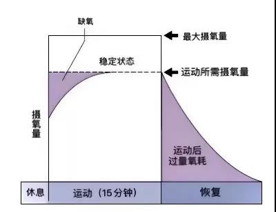 雨燕360体育官方线路