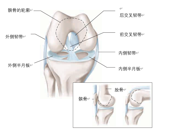 雨燕360体育加速节点