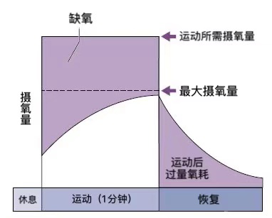 雨燕360体育官方线路