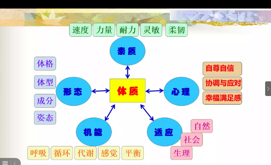 雨燕360体育客户端