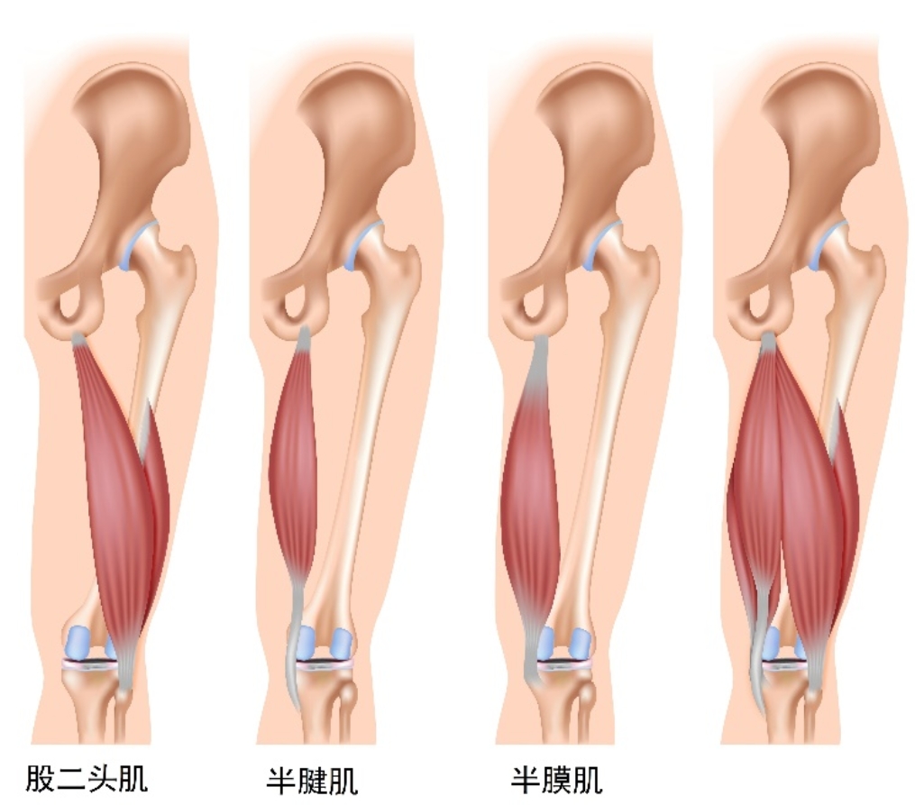 雨燕360体育手机版