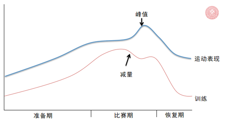 雨燕360体育指定入口