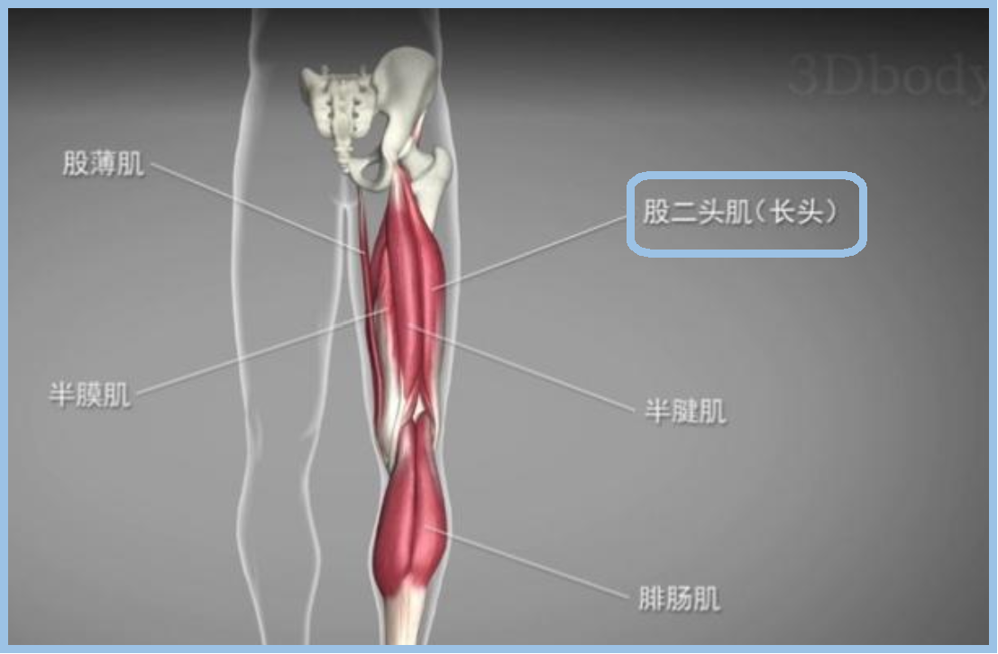 雨燕360体育官方指定端