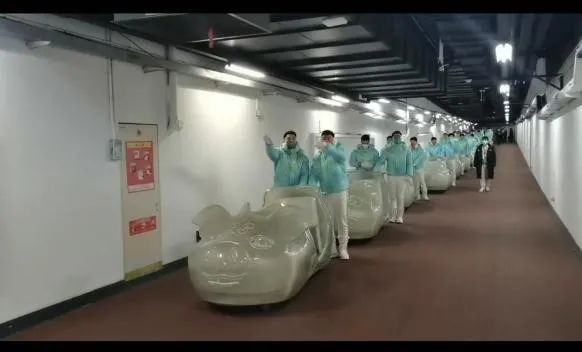 雨燕360体育手机版