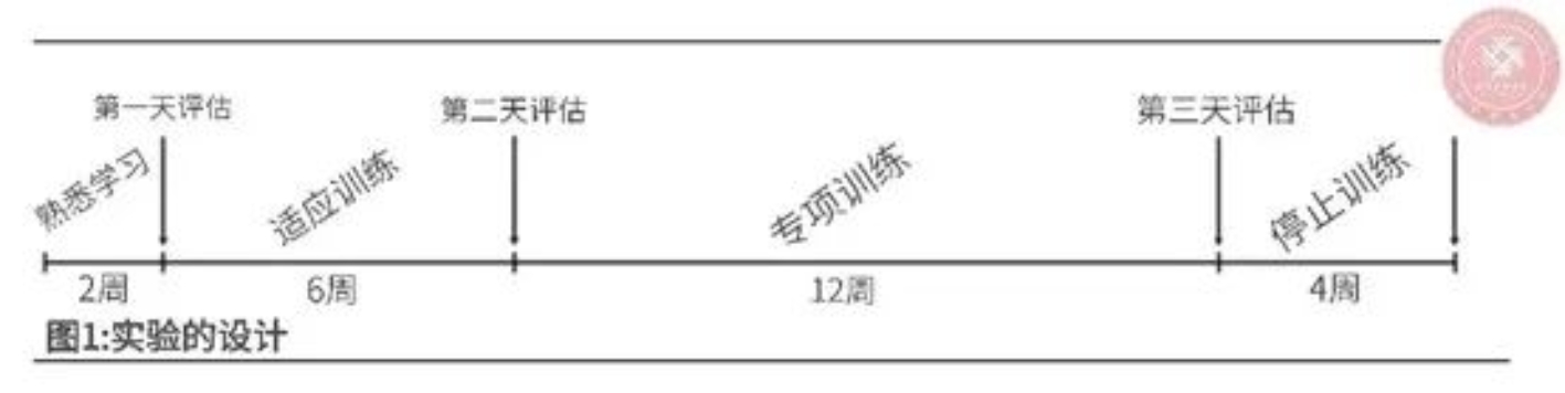 雨燕360体育APP下载