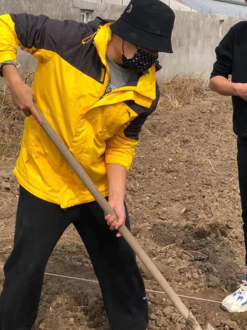 雨燕360体育官方线路