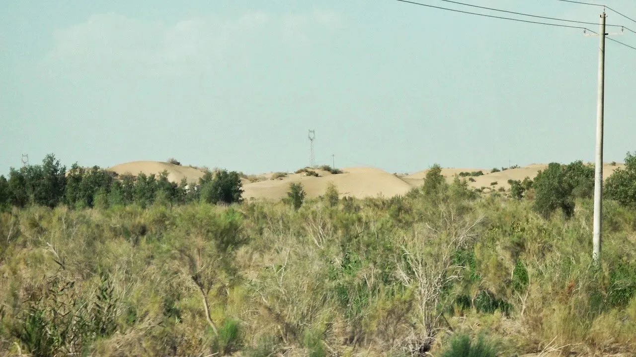 db379429ea214c9a9553ee8fd5ce8884.jpg db379429ea214c9a9553ee8fd5ce8884.jpg